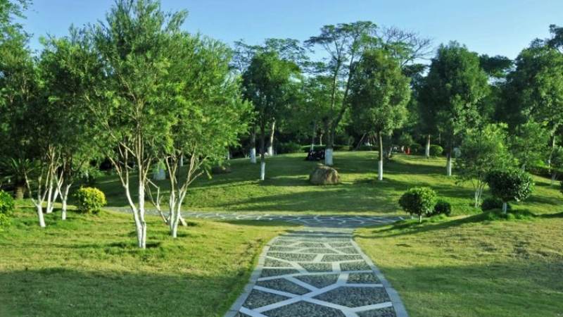 jinnianhui官网 金年会 绿化资讯整理服务配图
